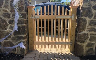 Cedar Arched Top Spindle Gate