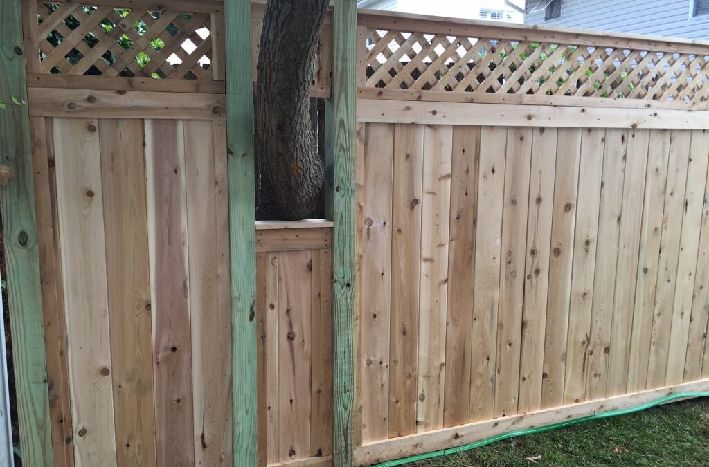 Cedar Lattice Top Fence Installed Around a Tree