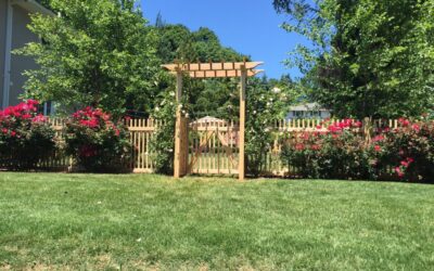 Cedar Pergola and Classic Picket Fence
